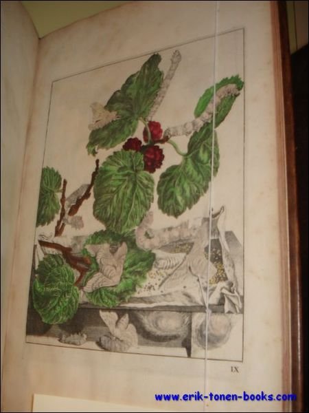 NAUWKEURIGE WAARNEEMINGEN OMTRENT DE VERANDERINGEN VAN VEELE INSEKTEN OF GEKORVENDE …