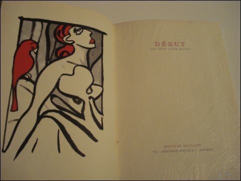 Petit Livre Blanc, Debut, Tim van Steenbergen.