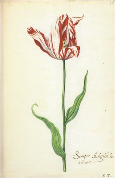 Tulipbook.