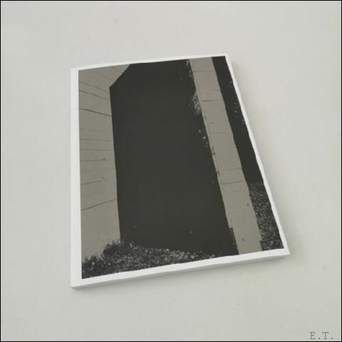 HENK DELABIE VERPLAATSINGEN - DISPLACEMENTS