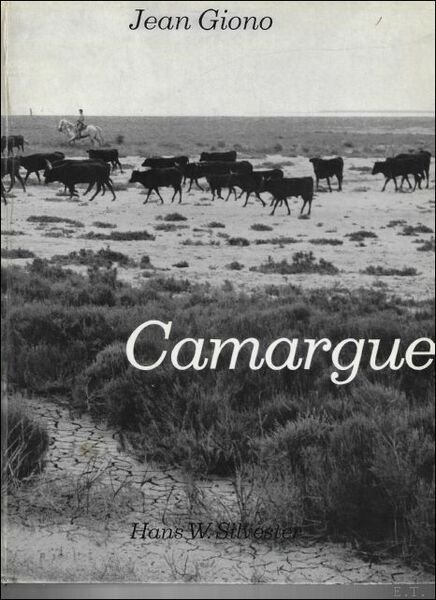 Camargue | Immagine principale