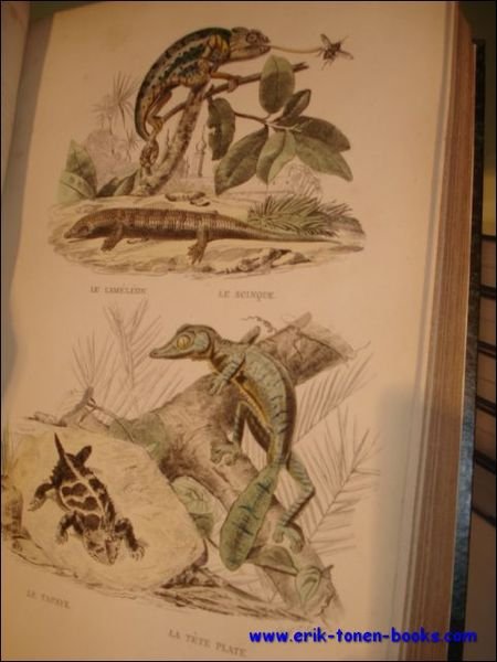 Histoire Naturelle de Lac p de. Comprenant les C tac …