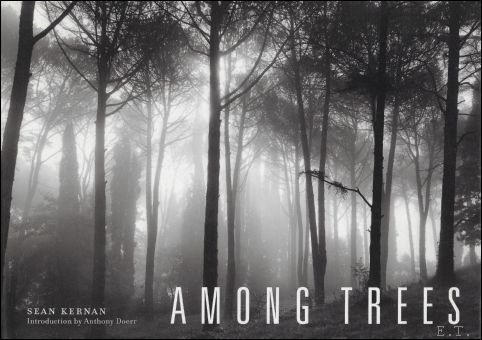 Among Trees