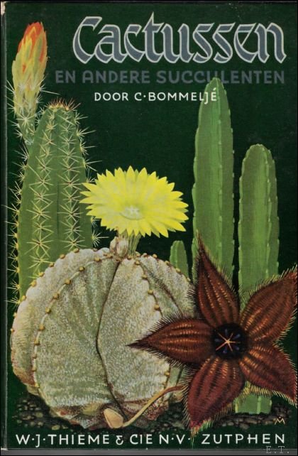 CACTUSSEN EN ANDERE SUCCULENTEN,