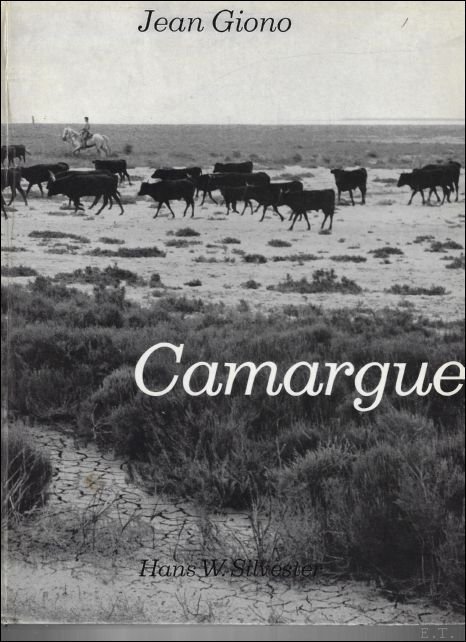 Camargue | Immagine Gallery 2