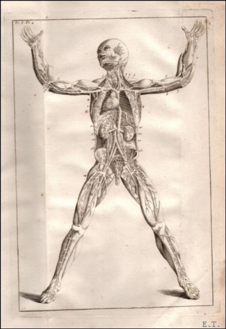 Dictionnaire universel de m decine pr c d d'un Discours …