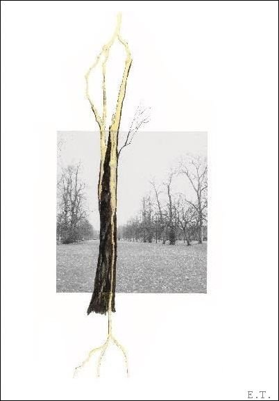 Giuseppe Penone Thoughts in the Roots