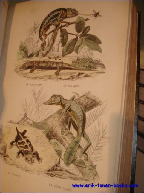 Histoire Naturelle de Lac p de. Comprenant les C tac …