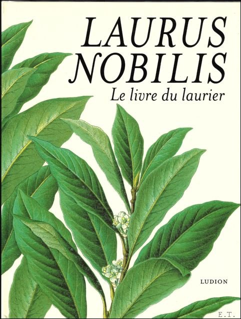 Laurus nobilis lelivree du laurier