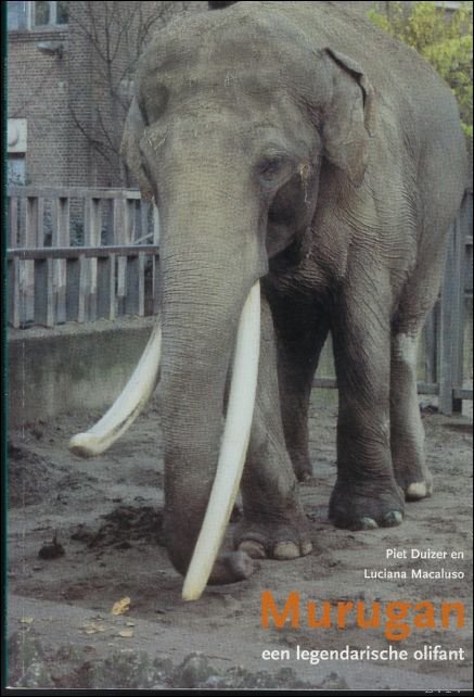 MURUGAN, Een legendarische olifant