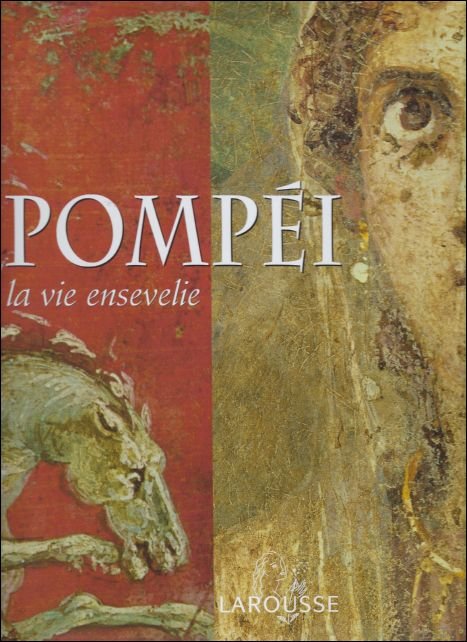 POMPEI ; LA VIE ENSEVELIE