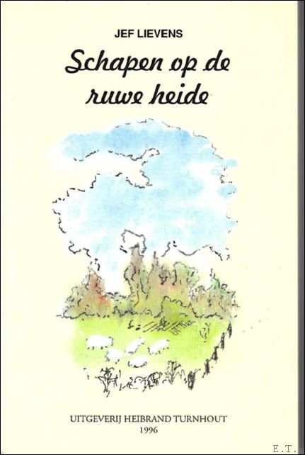 Schapen op de ruwe heide