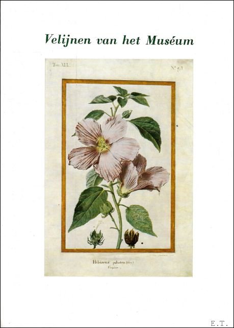 VELIJNEN VAN HET MUSEUM.