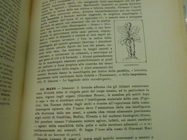 DIZIONARIO RAGIONATO DEI SIMBOLI