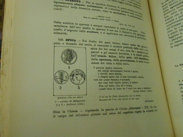 DIZIONARIO RAGIONATO DEI SIMBOLI