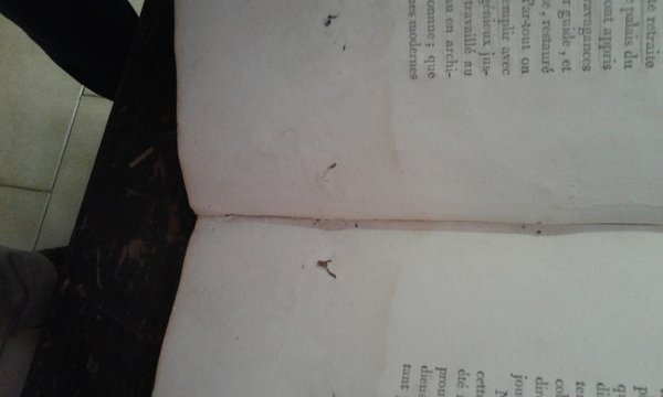 PALAIS, MAISONS, ET AUTRES EDIFICES MODERNES, DESSINES A ROME - …