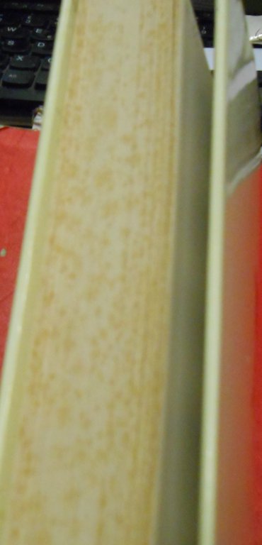 ALPINO ALLA MACCHIA CRONACHE DI LATITANZA 1943-1945