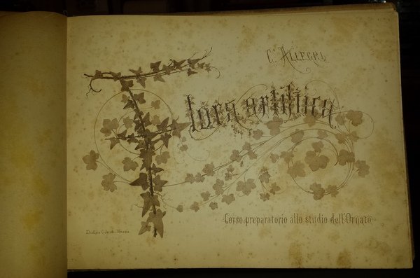 Flora artistica: corso preparatorio allo studio dell'ornato | Immagine Gallery 1