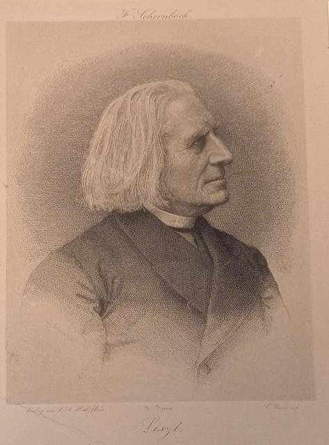 Incisione di Ferdinand Schirnböck raffigurante il musicista Franz Liszt. 1890 …