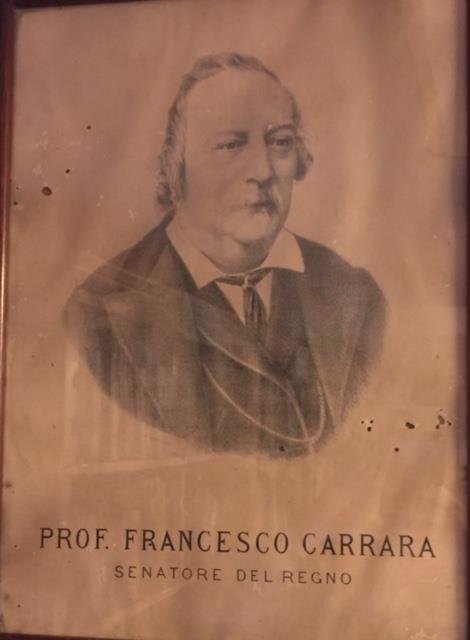 PROF. FRANCESCO CARRARA. Senatore del Regno. Manifesto litografico originale stampato …