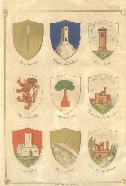 Tavola di stemmi in cromolitografia. N°XXXIII: Stemmi di Montacuta, Montagutolo … | Immagine Gallery 1