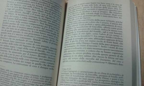 I salmi delle ascensioni. Cantico del pellegrino.