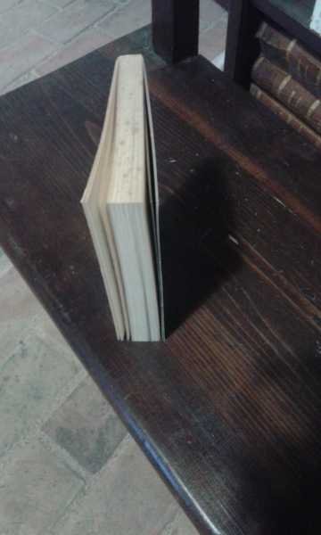 I salmi delle ascensioni. Cantico del pellegrino.