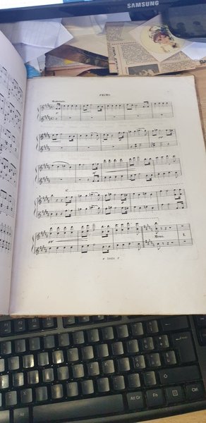Sonnambula e Lucia di Lammermoor, ricreazione musicale per pianoforte a … | Immagine Gallery 3
