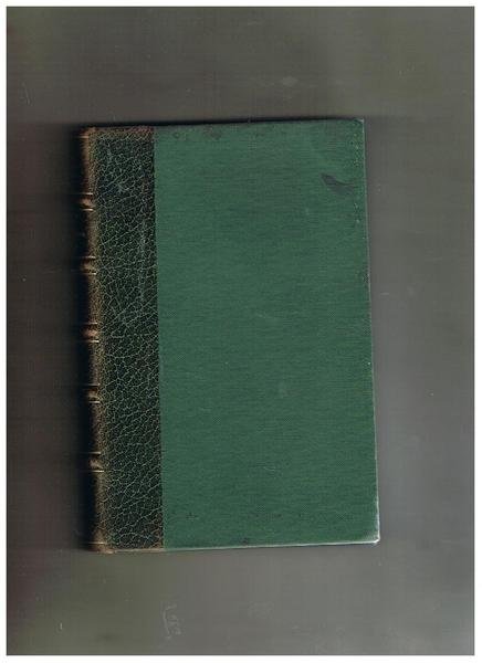 Piccolo mondo moderno. Romanzo.