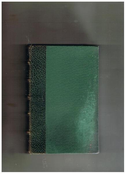 Né bella né brutta. Romanzo. Prima edizione. | Immagine principale