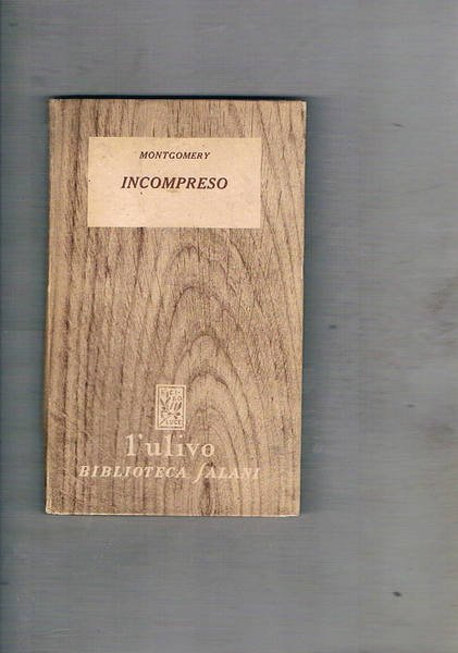 Incompreso. Romanzo.