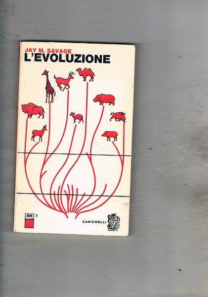 L'evoluzione.