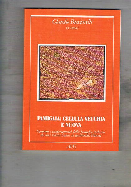 Famiglia: cellula vecchia e nuova. Opinioni e comportamenti della famiglia …