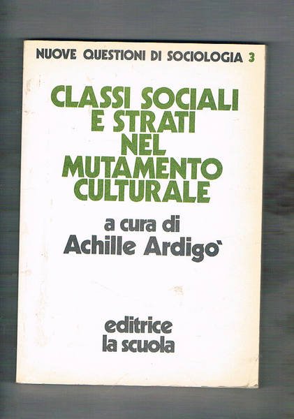 Classi sociali e strati nel mutamento culturale. Nuove questioni di …