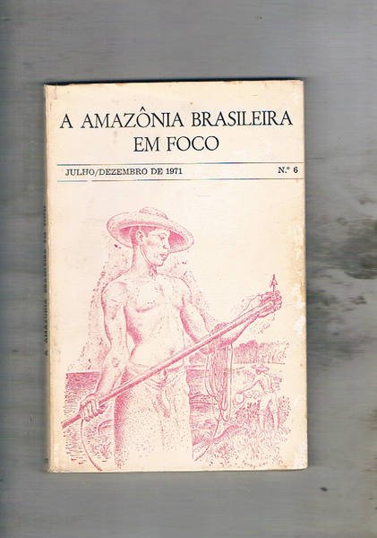 Amazonia brasileira em foco. Boletim n° 6.