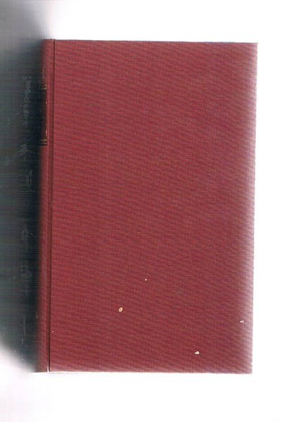 Disegno storico del Medio Evo. | Immagine principale