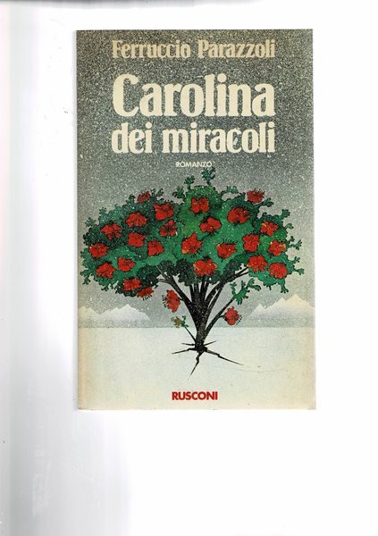 Carolina dei miracoli. Romanzo. Prima edizione.