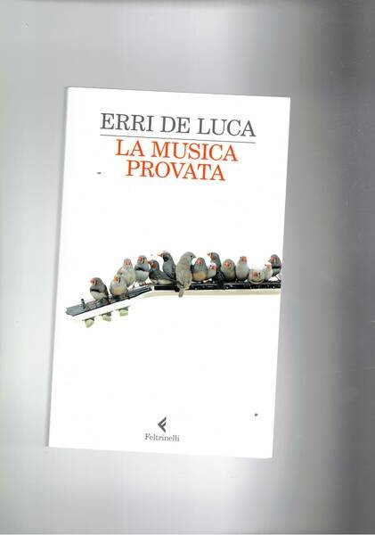 La musica provata. | Immagine principale