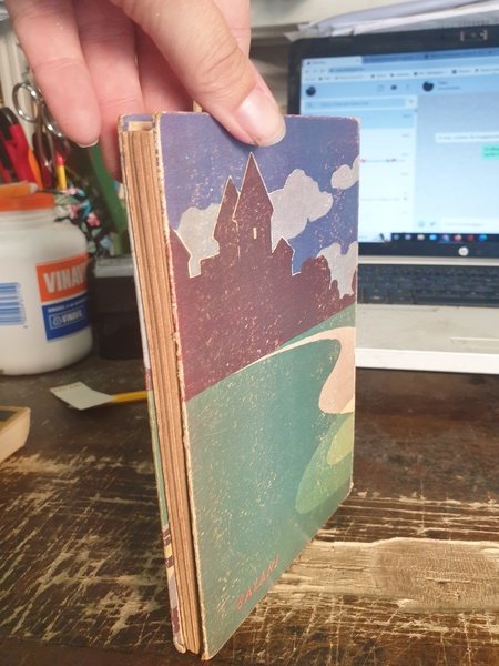 Il mistero del castello.