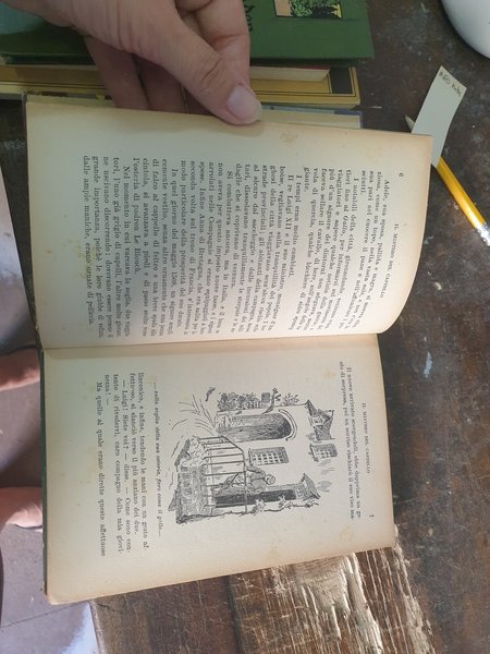 Il mistero del castello.