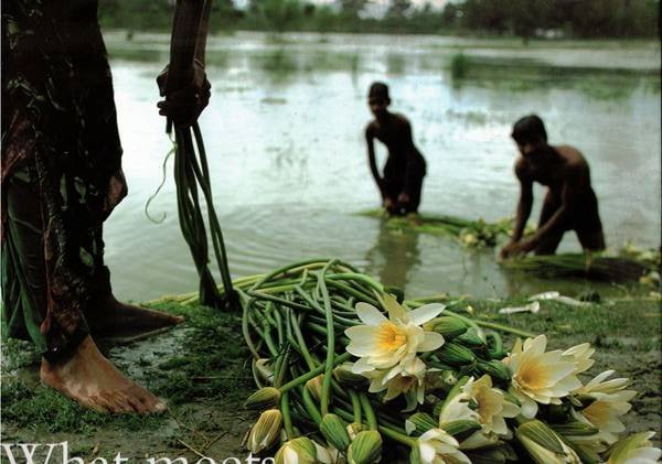 What meets the eye. Images of rural poverty.