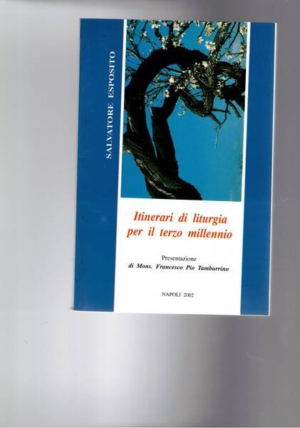 Itinerari di liturgia per il terzo millennio. Presentazione di Mons. … | Immagine principale