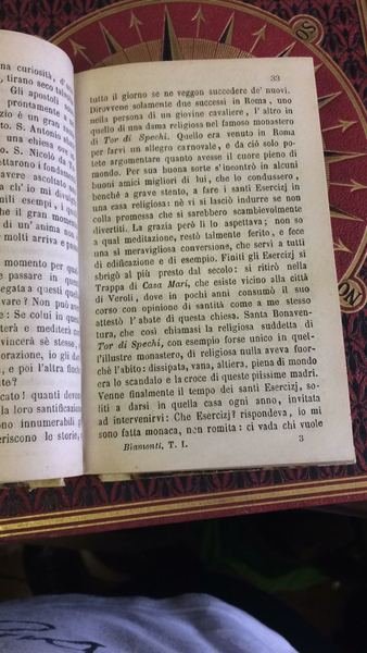 Serie di meditazioni prediche ed istruzioni. Tomo I-II uniti.