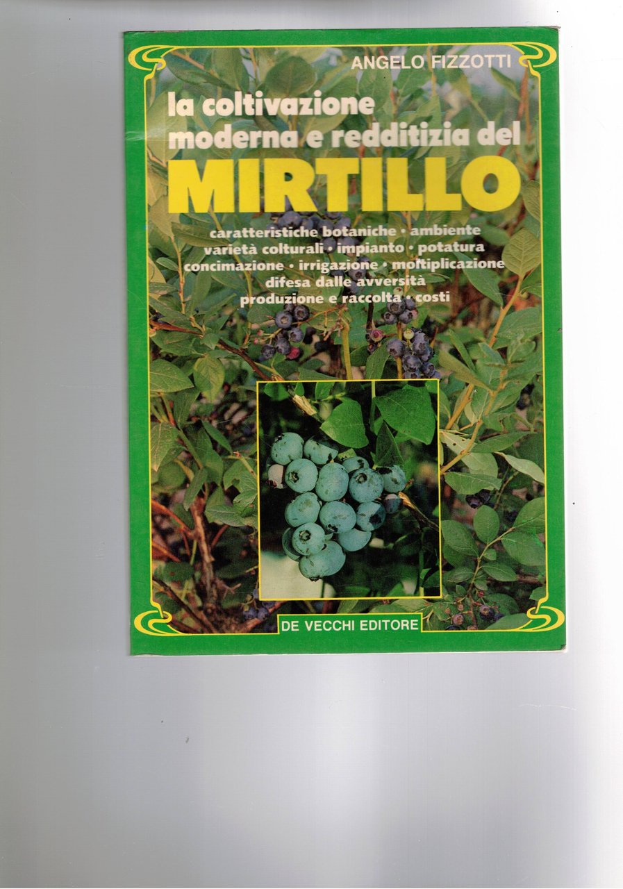 La coltivazione moderna e redditizia del mirtillo. | Immagine principale