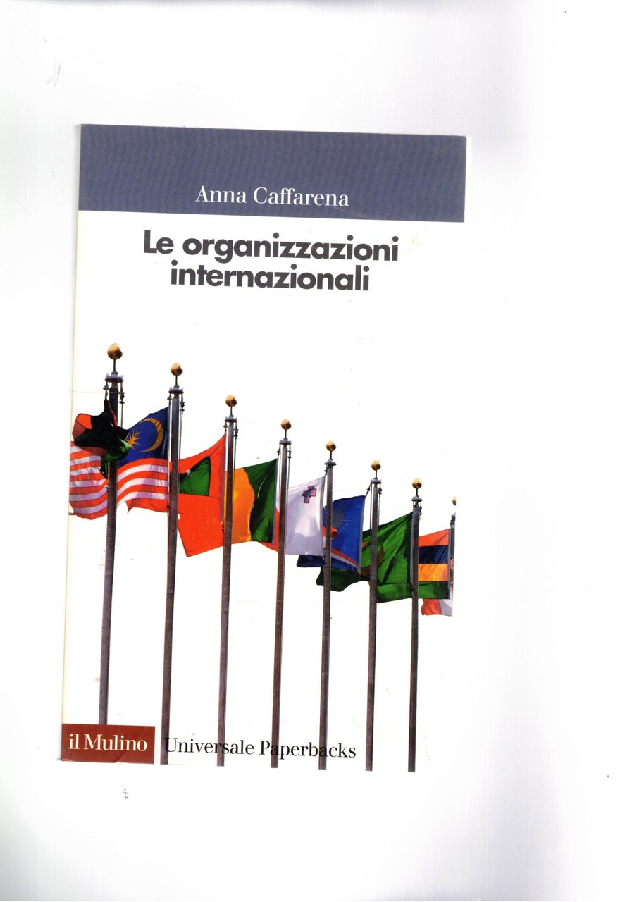 Le organizzazioni internazionali. | Immagine principale