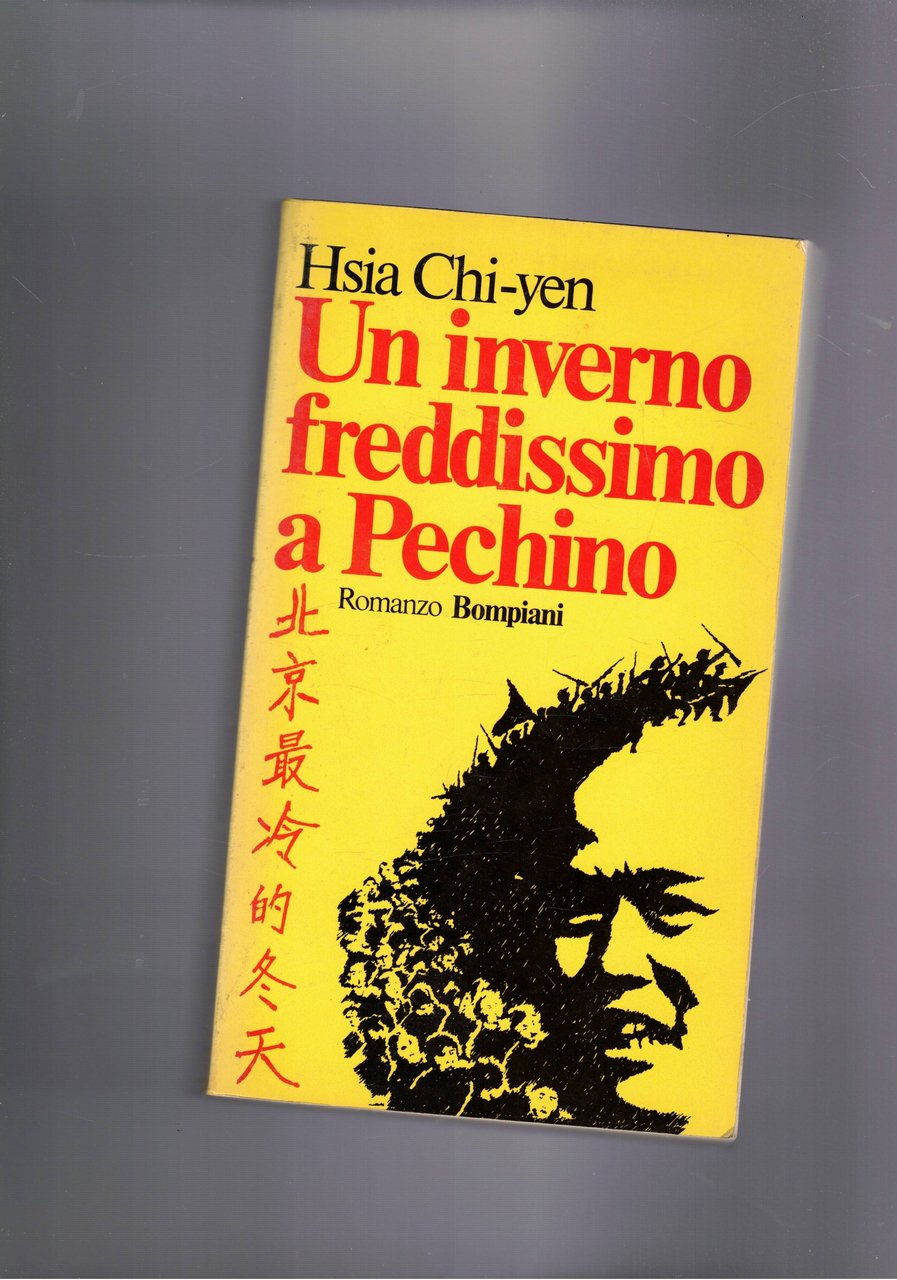 Un inverno freddisimo a Pechino. Romanzo.