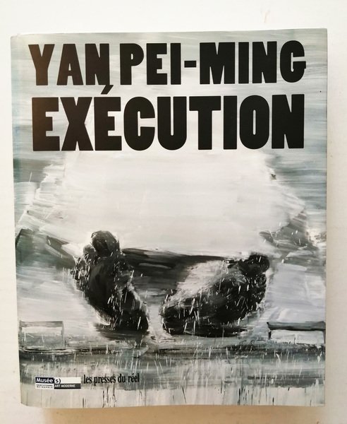 Yan Pei-Ming - Execution - Musee D Art Modern de …