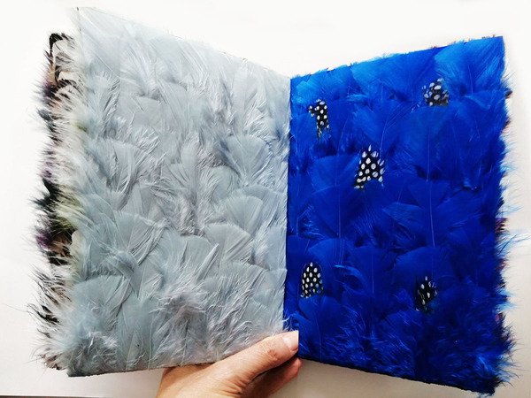 Catalogue d Oiseaux. Musique. Pour forets et voix exotique par … | Immagine Gallery 1