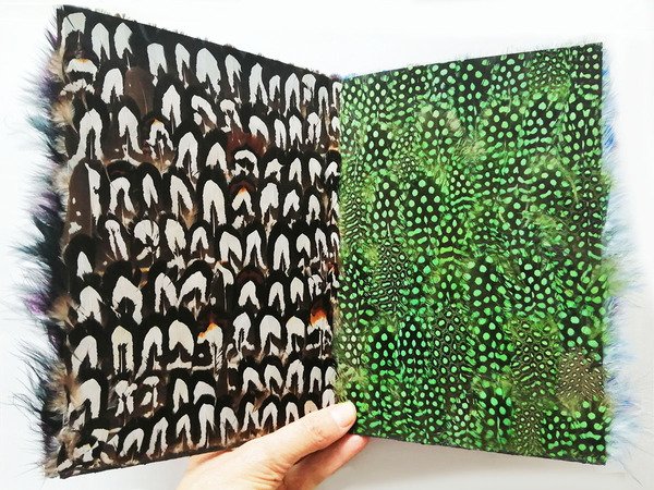 Catalogue d Oiseaux. Musique. Pour forets et voix exotique par …