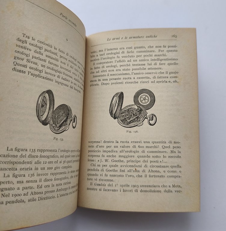 Il raccoglitore di oggetti minuti e curiosi